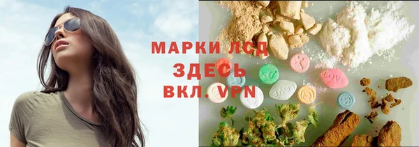 шишки Верхний Тагил