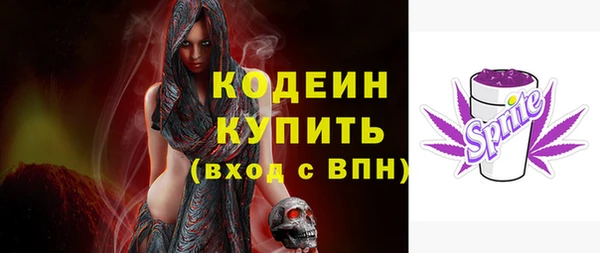 шишки Верхний Тагил