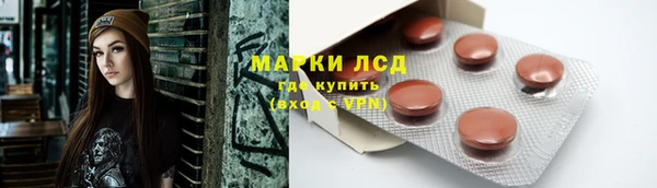 шишки Верхний Тагил
