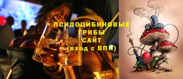 индика Верхнеуральск